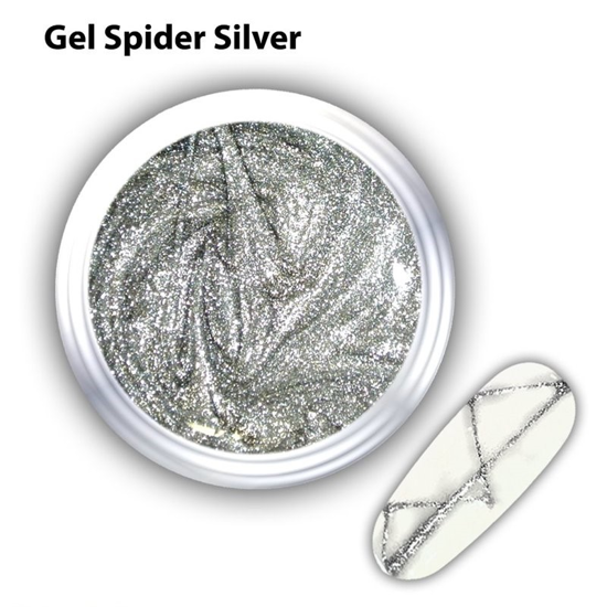 Picture of JK Starnails Spider Gel Silver