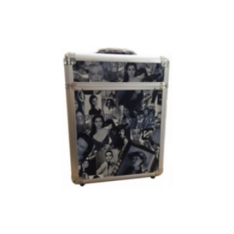 Picture of Superstar Aluminum Suitcase 3169R 320x210x410mm