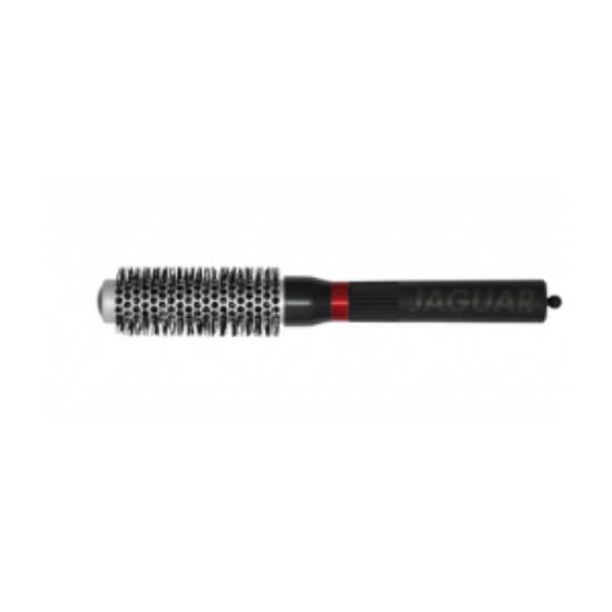 Picture of Jaguar Professional Ionic Brush No T-31 25mm